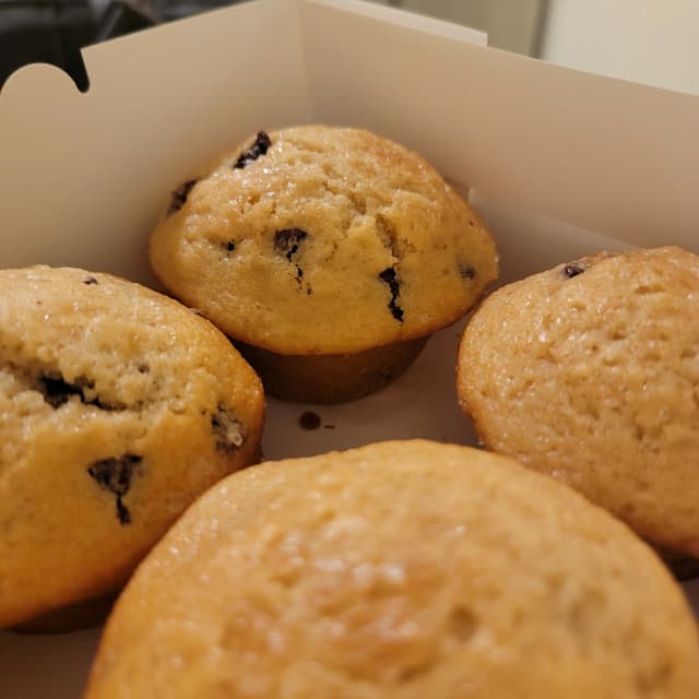 Chocolate Chip Muffins